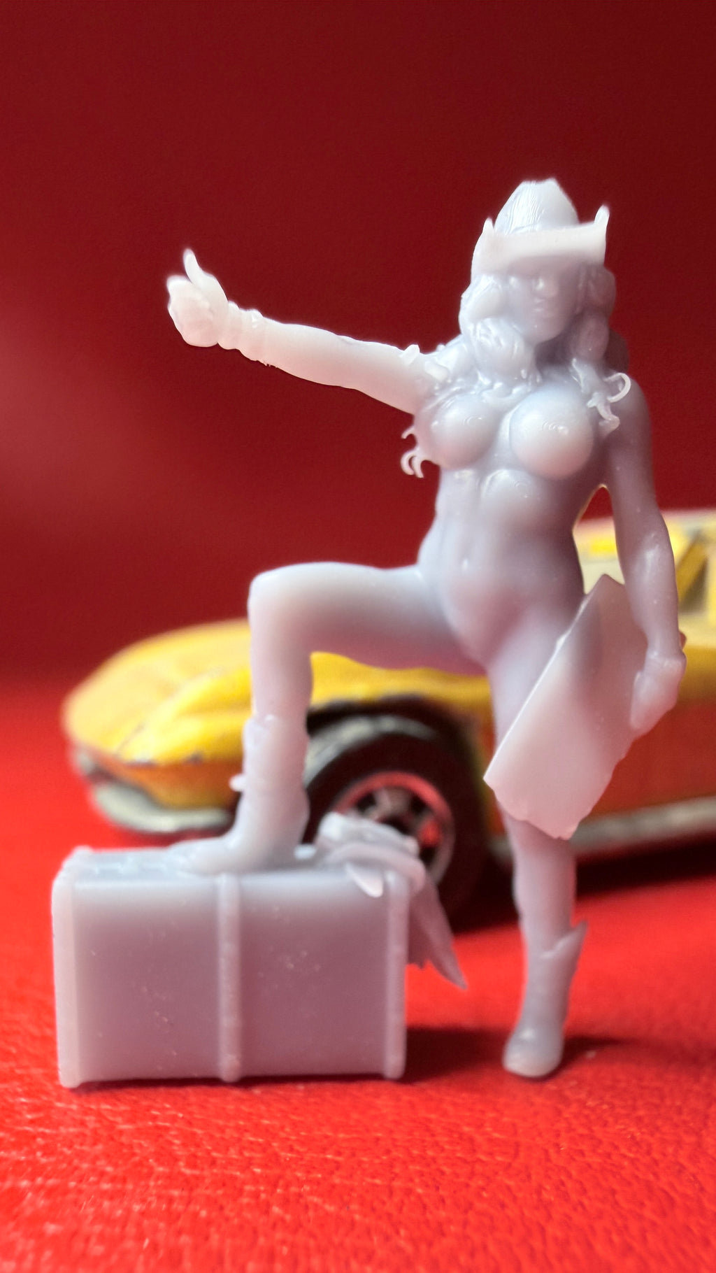 No Clothes hitchhiker